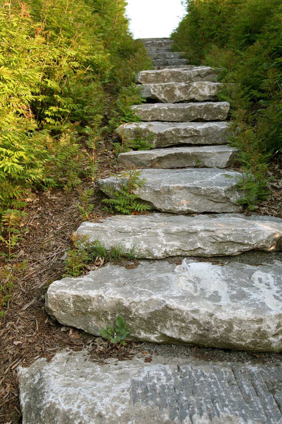 Garden pathway